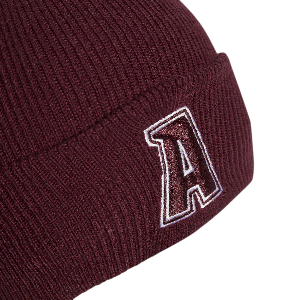 Cuff Var beanie