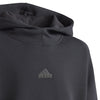 Z.N.E hoodie
