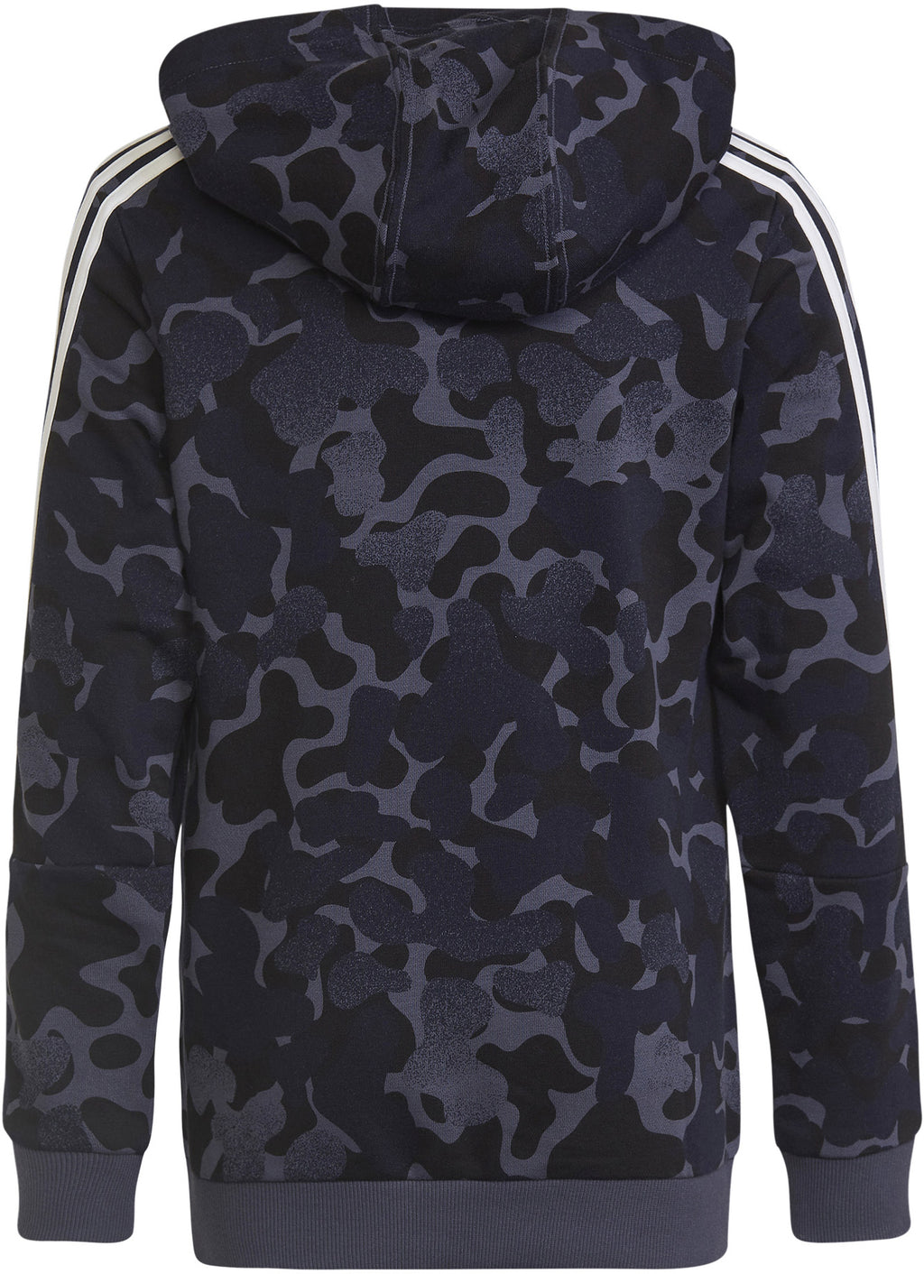 Future Icons 3-Stripes Graphic hoodie