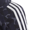 Future Icons 3-Stripes Graphic hoodie