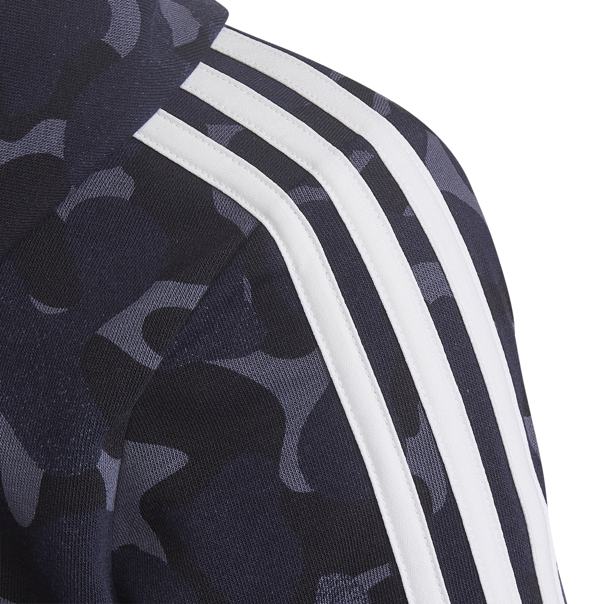 Future Icons 3-Stripes Graphic hoodie