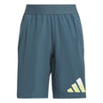 Train Icons AEROREADY Logo short