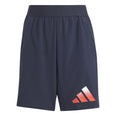Train Icons AEROREADY Logo short