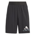 Train Icons AEROREADY Logo short