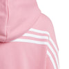 Future Icons 3-Stripes ritshoodie