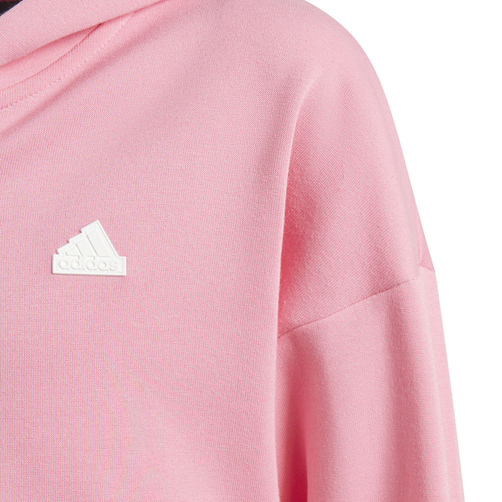 Future Icons 3-Stripes ritshoodie