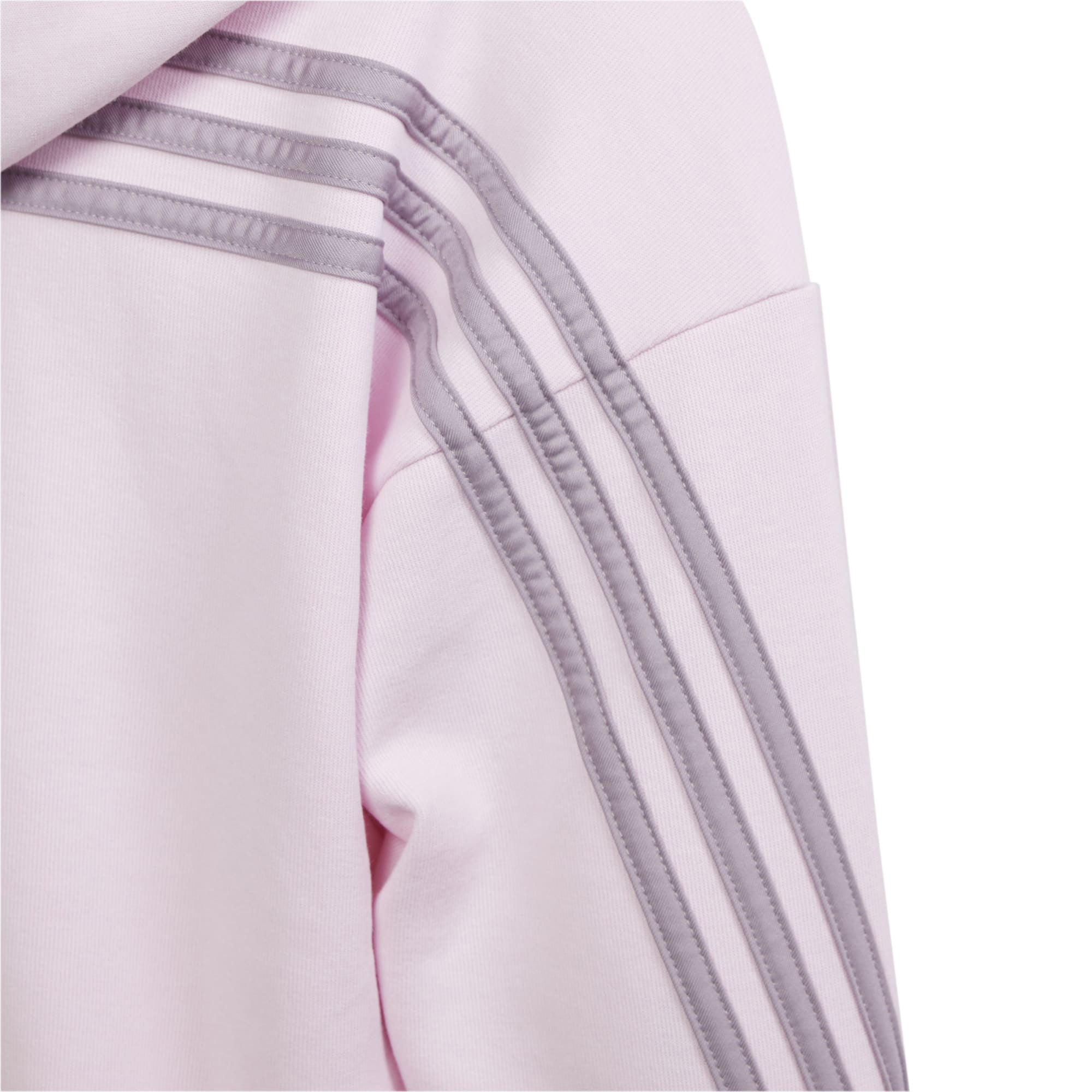 Future Icons 3-Stripes ritshoodie