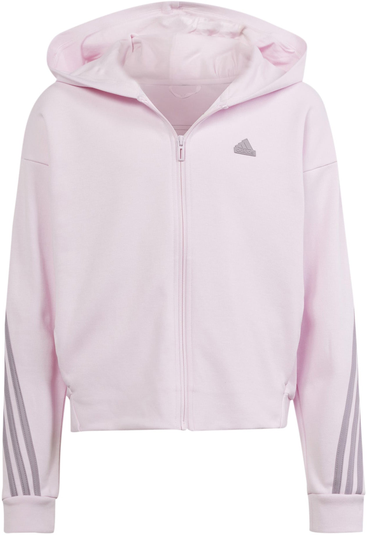 Future Icons 3-Stripes ritshoodie