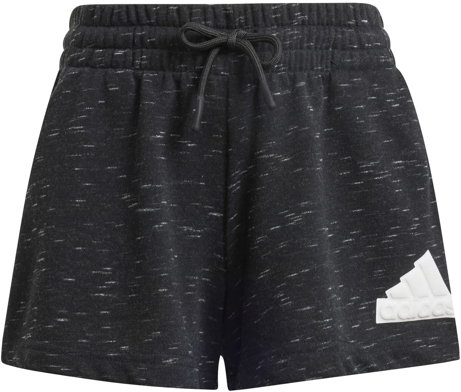 Future Icons Big Logo Short