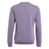 Essentials Big Logo Cotton sweater