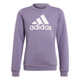 Essentials Big Logo Cotton sweater
