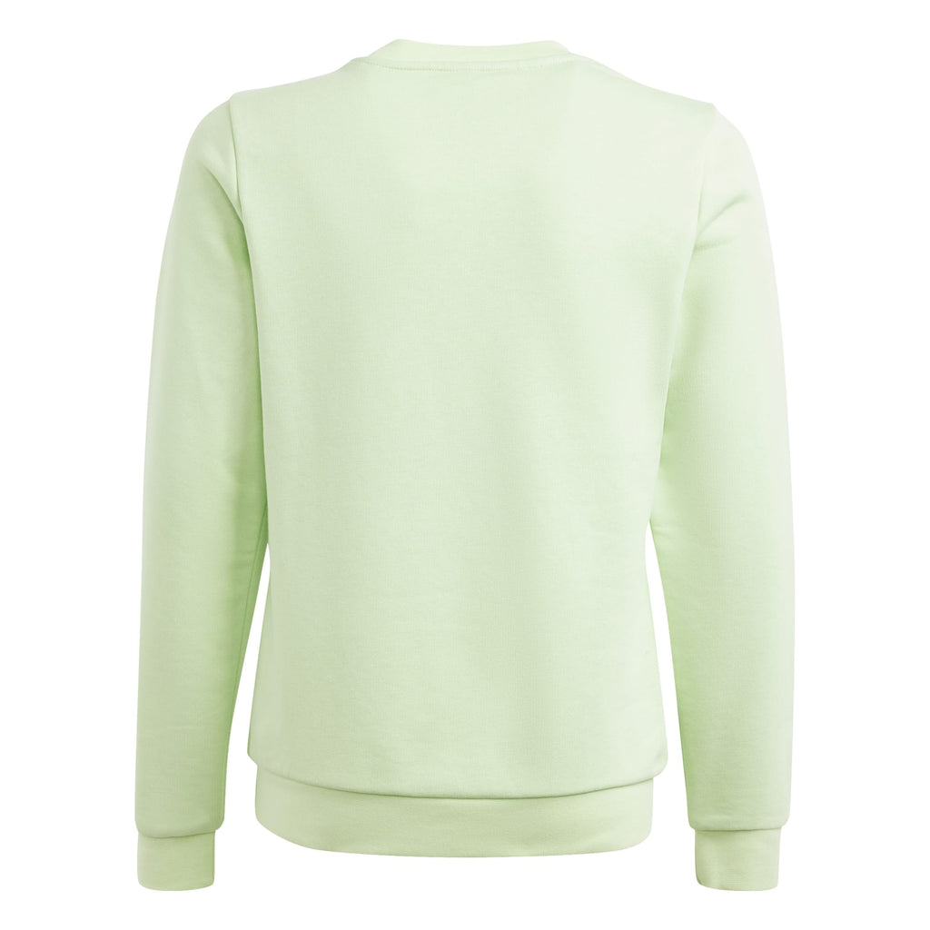 Essentials Big Logo Cotton sweater