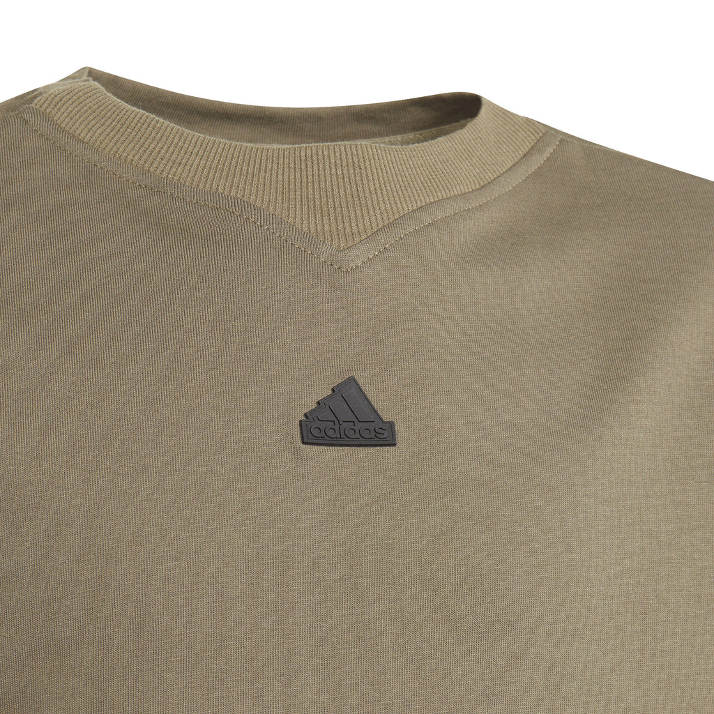 Future Icons 3-Stripes shirt