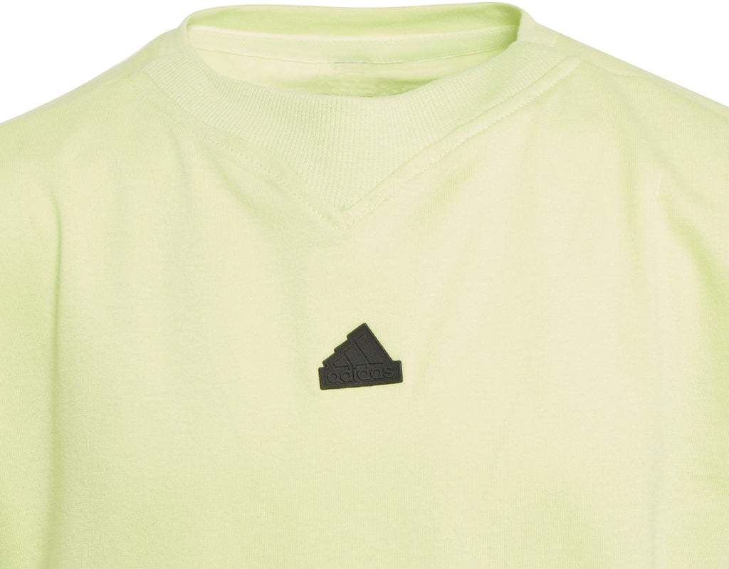 Future Icons 3-Stripes shirt