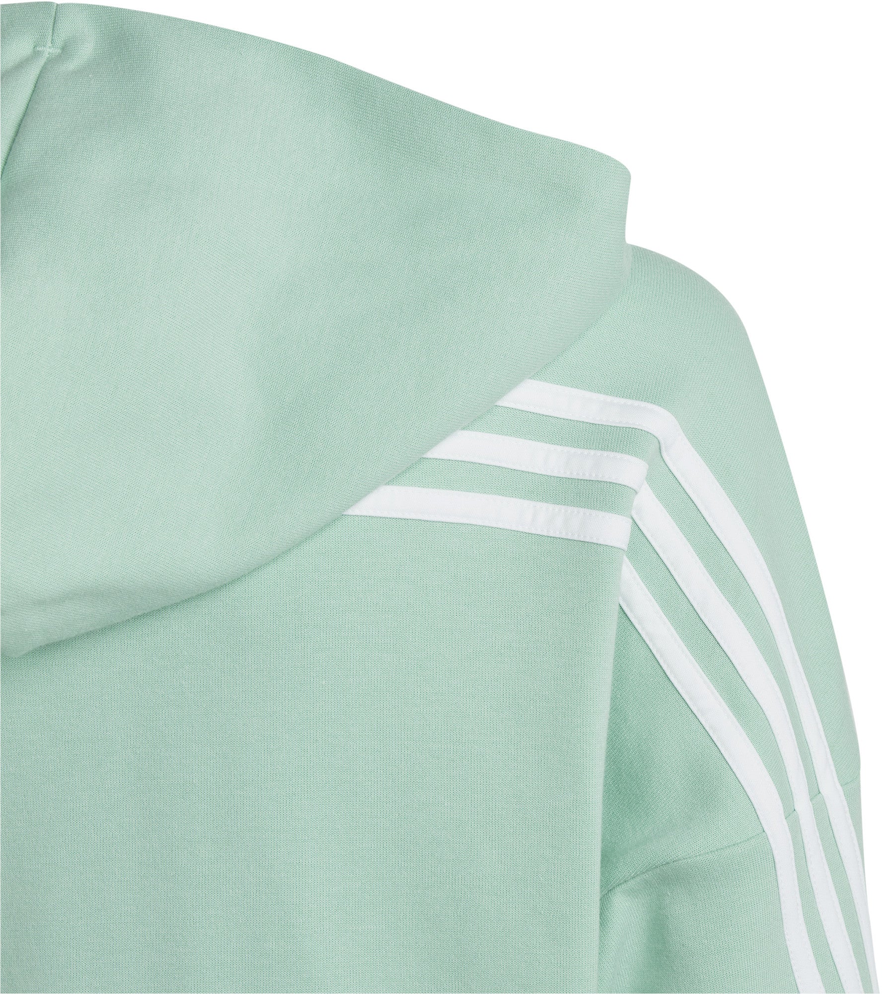 Future Icons 3-Stripes Hooded ritsjack