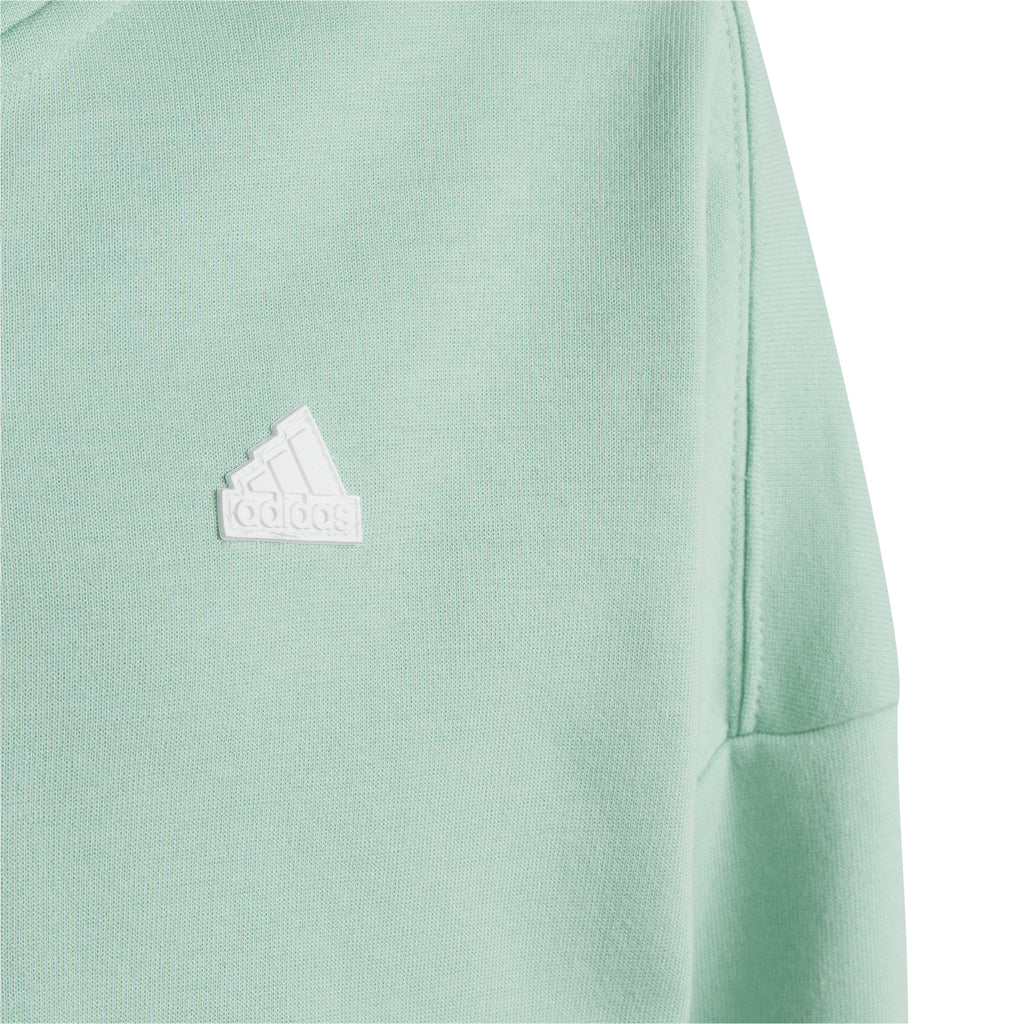 Future Icons 3-Stripes Hooded ritsjack