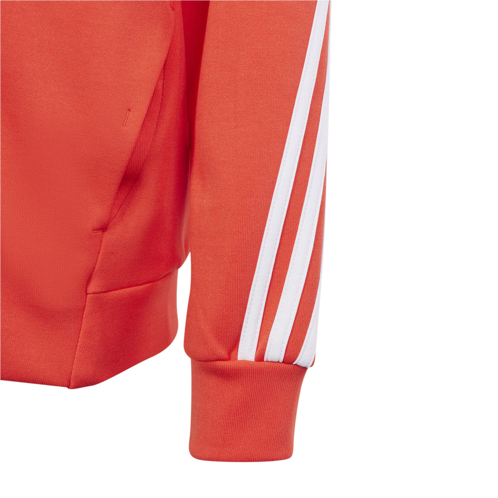 Future Icons 3-Stripes Hooded ritsjack