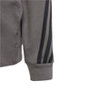 Future Icons 3-Stripes Hooded ritsjack