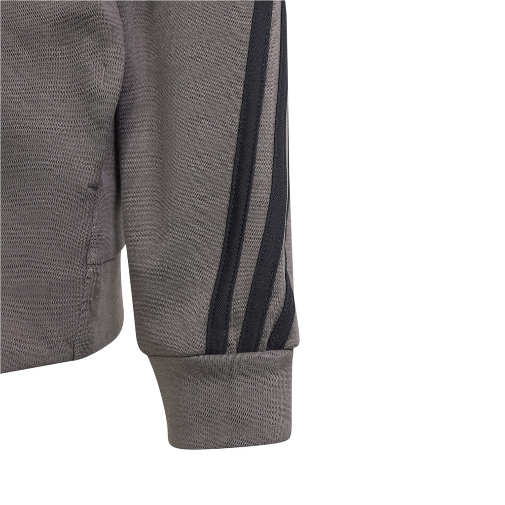 Future Icons 3-Stripes Hooded ritsjack
