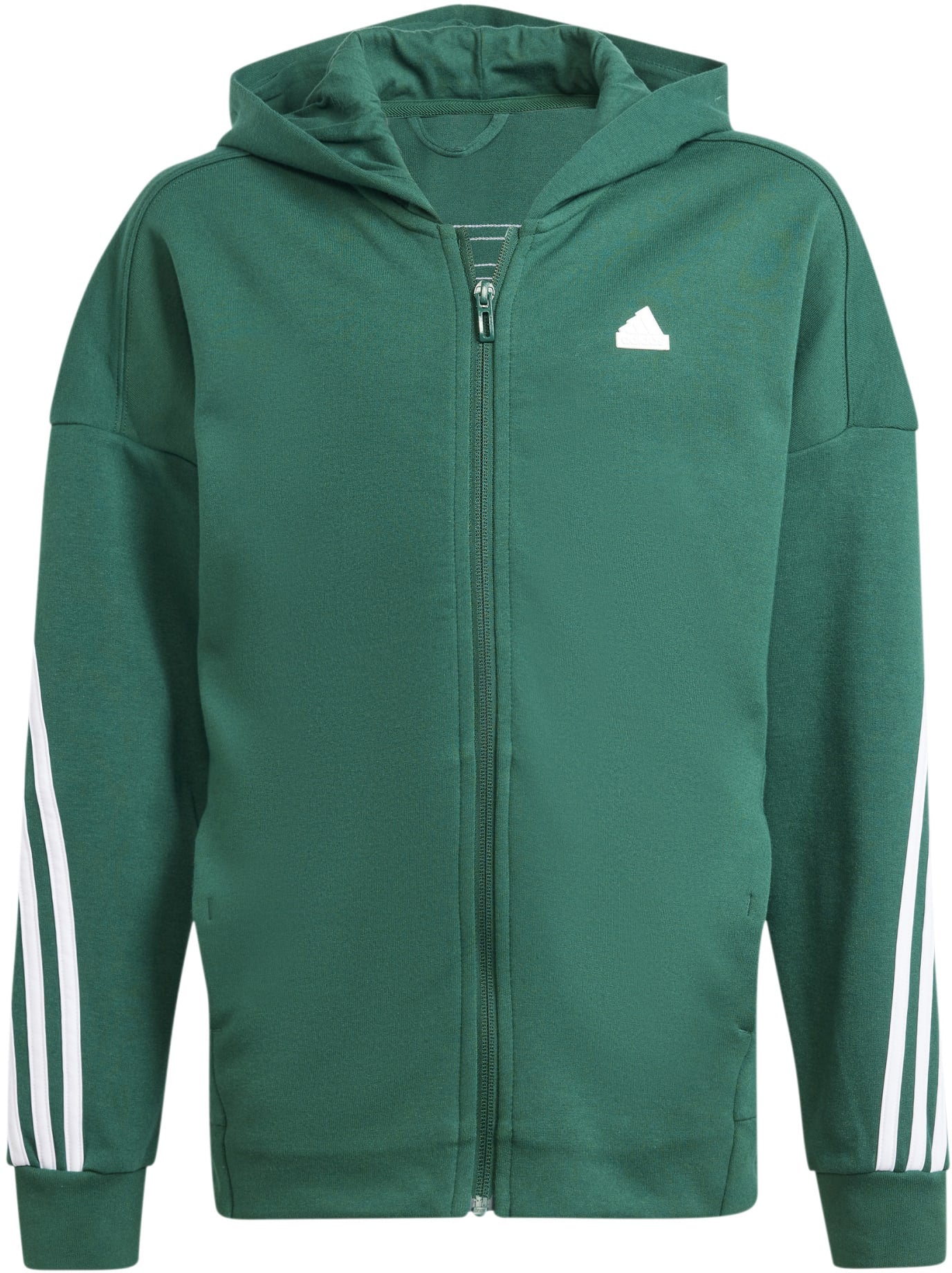 Future Icons 3-Stripes Hooded ritsjack