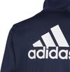Essentials Big Logo trainingspak