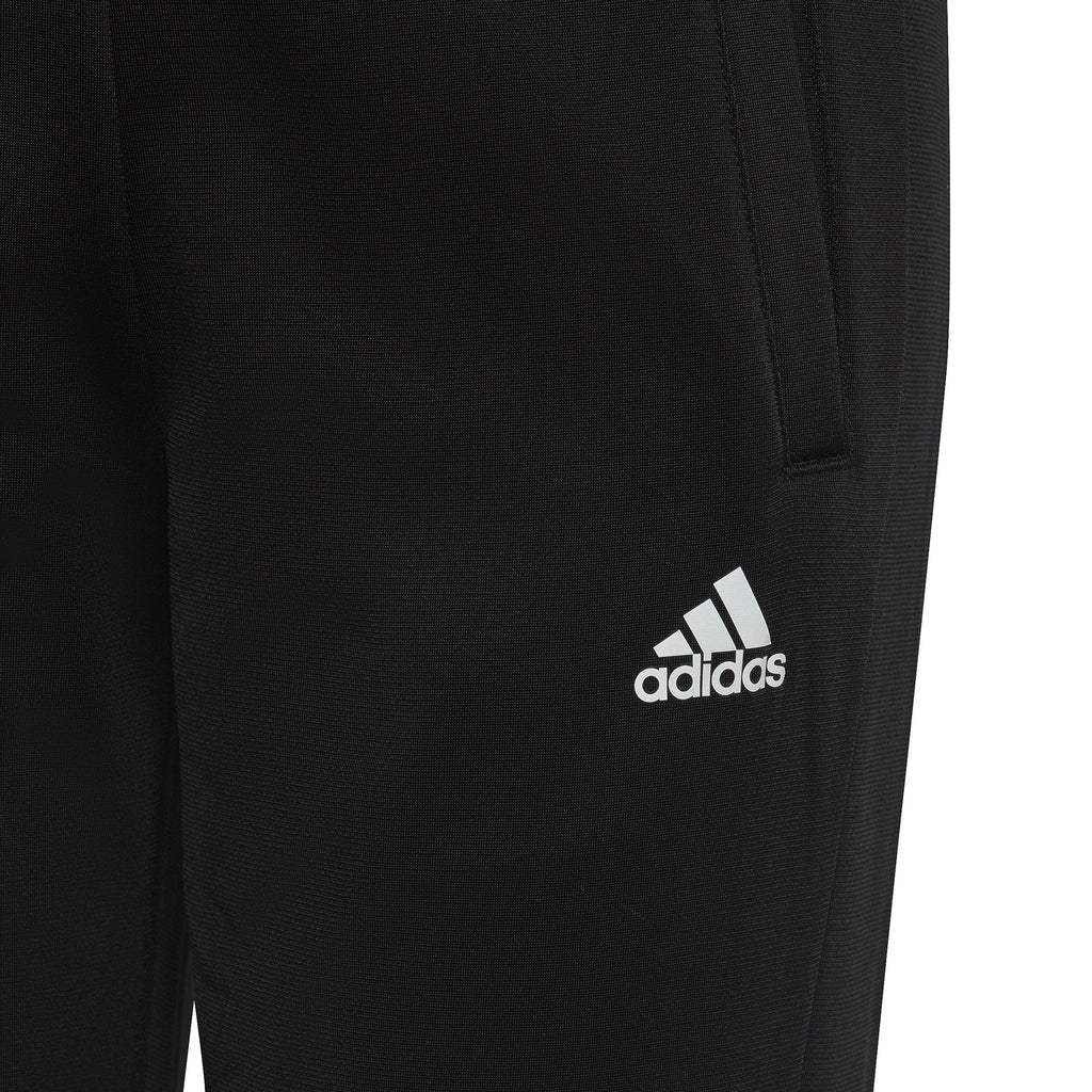 Essentials Big Logo trainingspak