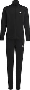 Essentials Big Logo trainingspak