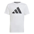 Train Essentials AEROREADY Logo Regular-Fit shirt