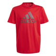 Essentials Big Logo Katoenen shirt