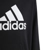 Big Logo Essentials Katoenen hoodie