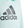 Big Logo Essentials Katoenen hoodie