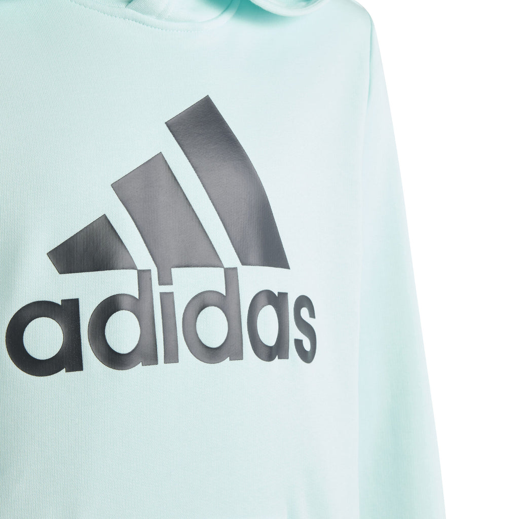 Big Logo Essentials Katoenen hoodie