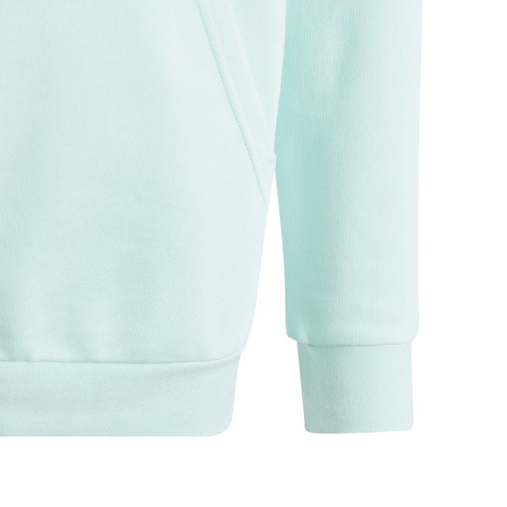 Big Logo Essentials Katoenen hoodie