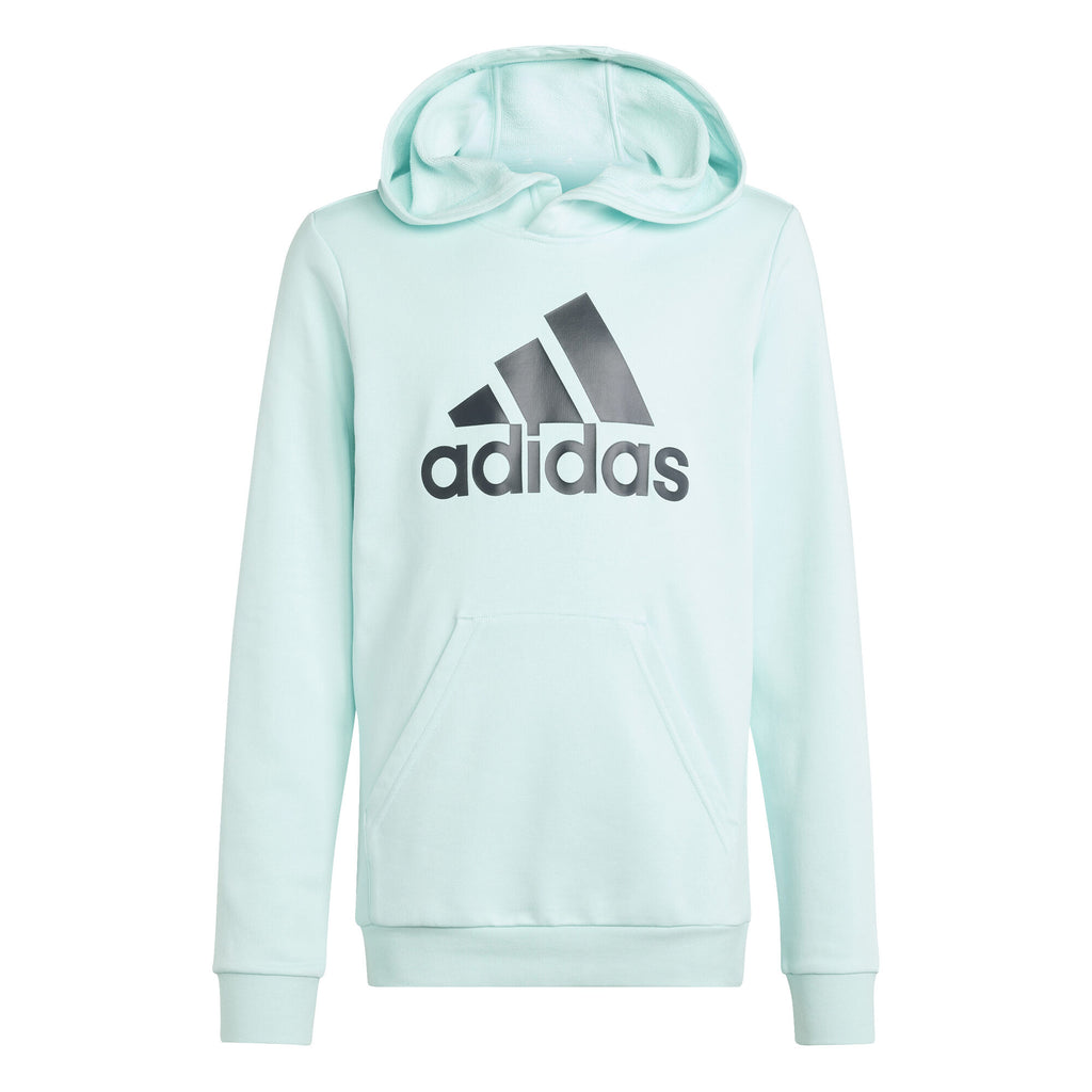 Big Logo Essentials Katoenen hoodie