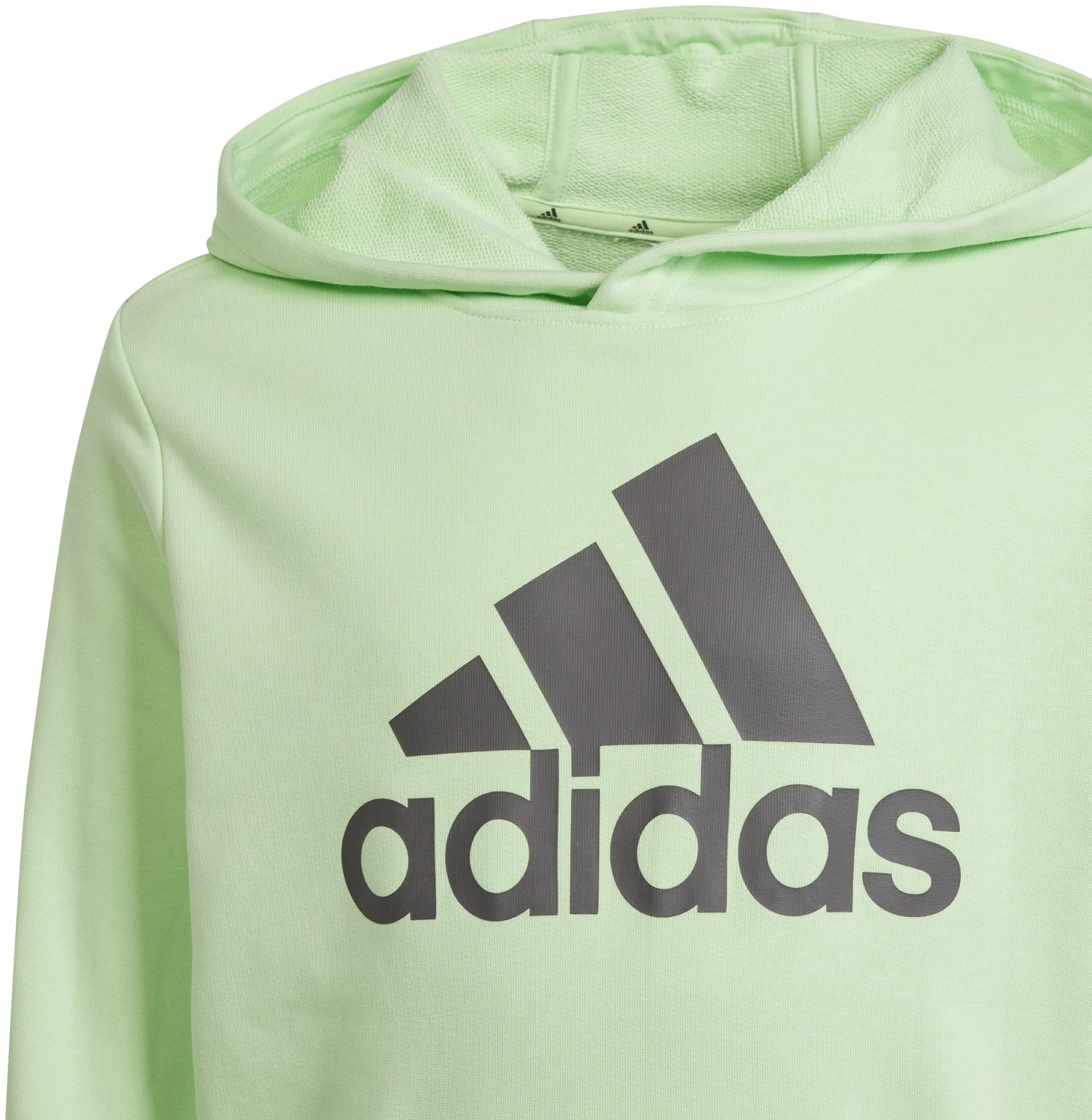 Big Logo Essentials Katoenen hoodie