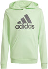 Big Logo Essentials Katoenen hoodie