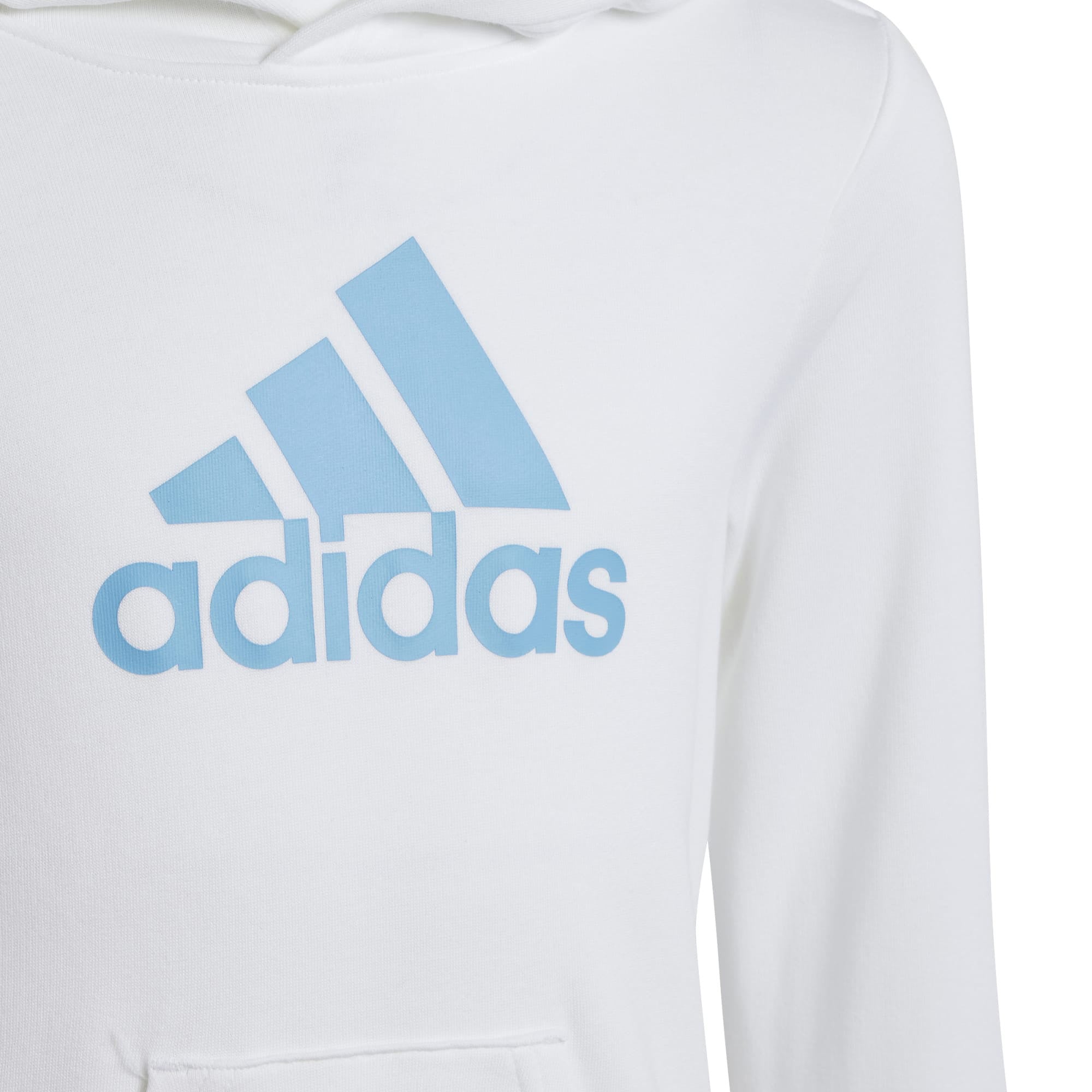 Big Logo Essentials Katoenen hoodie