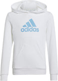 Big Logo Essentials Katoenen hoodie