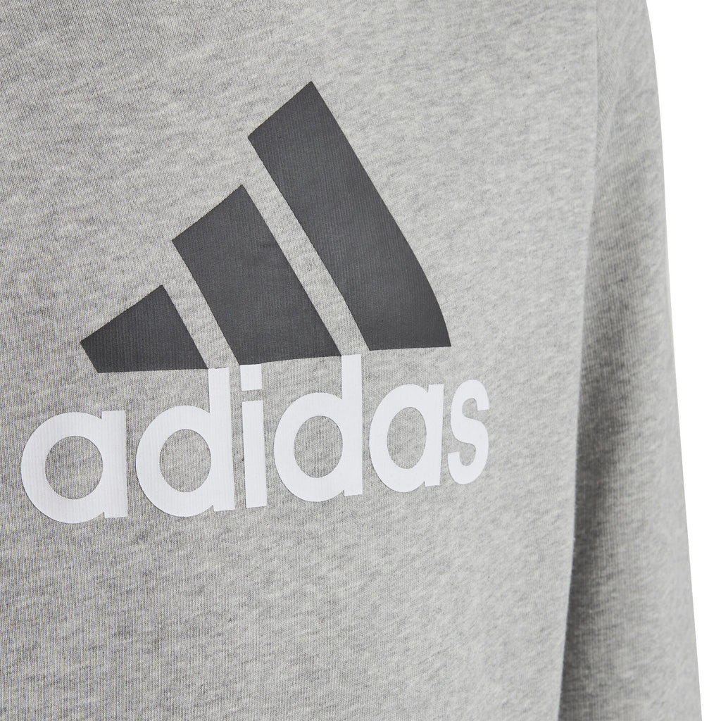 Essentials Two-Colored Big Logo hoodie