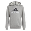 Essentials Two-Colored Big Logo hoodie