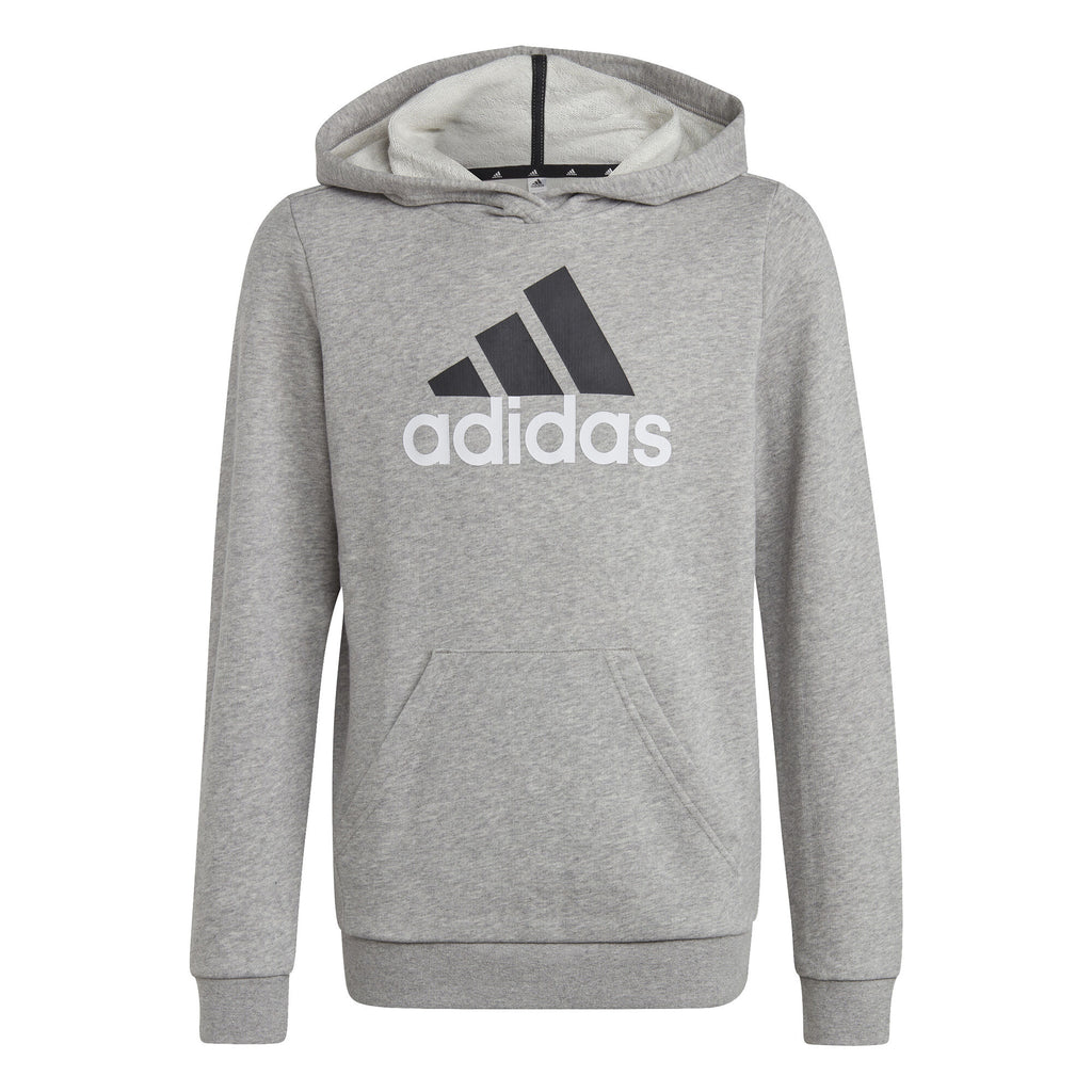 Essentials Two-Colored Big Logo hoodie