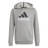 Essentials Two-Colored Big Logo hoodie