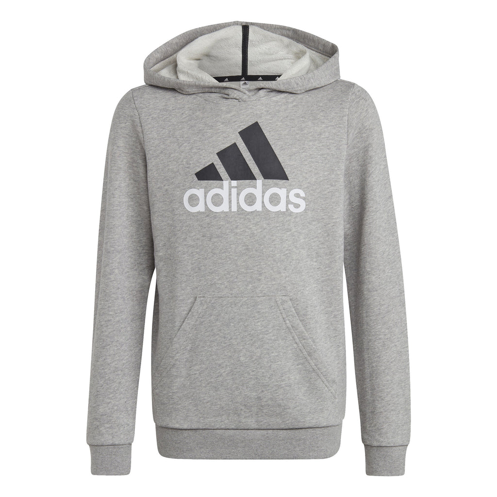 Essentials Two-Colored Big Logo hoodie