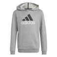 Essentials Two-Colored Big Logo hoodie