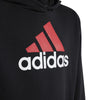 Essentials Two-Colored Big Logo hoodie