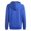 Essentials Two-Colored Big Logo hoodie