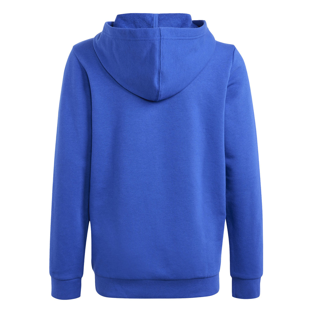 Essentials Two-Colored Big Logo hoodie