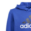 Essentials Two-Colored Big Logo hoodie