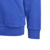Essentials Two-Colored Big Logo hoodie