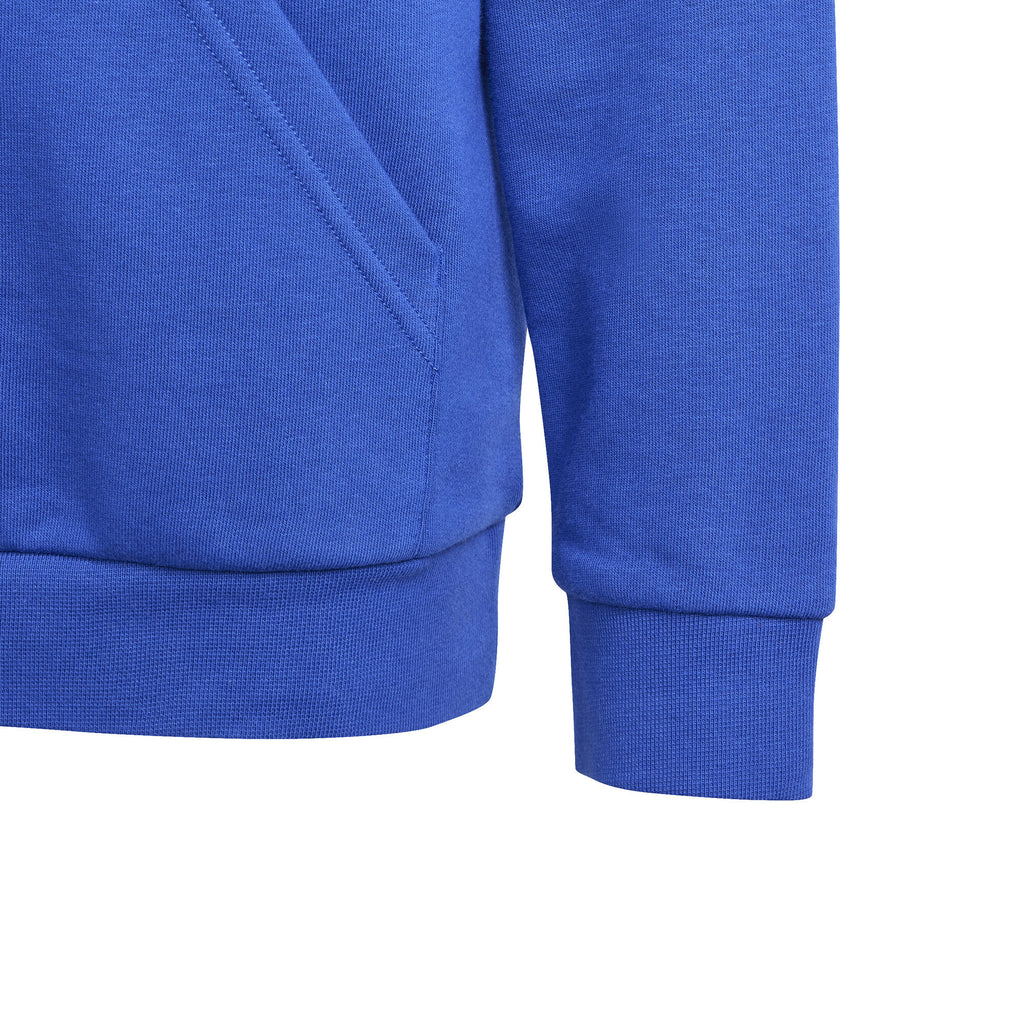 Essentials Two-Colored Big Logo hoodie
